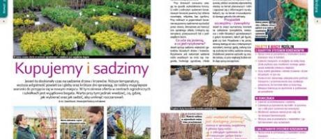 Październikowy „Mój Ogródek” – od 19.09 w sprzedaży! Kup, przeczytaj, poleć innym działkowcom i ogrodnikom!