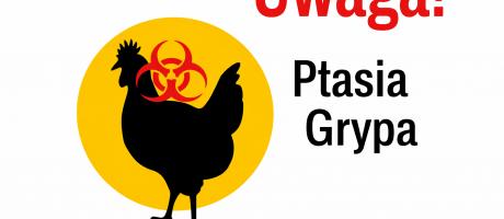 Stwierdzenie wysoce zjadliwej grypy ptaków (HPAI) u ptaków dzikich