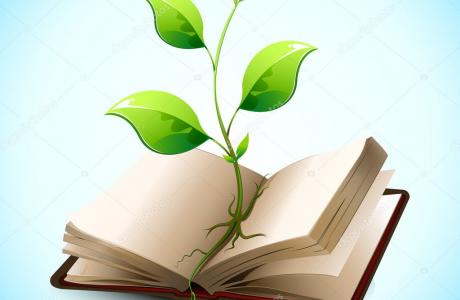 depositphotos_5823050-stock-illustration-plant-growing-in-open-book.jpg
