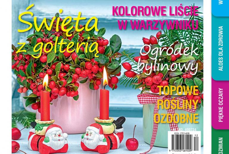  Grudniowy „Mój Ogródek” – od 20.11 w sprzedaży! Kup, przeczytaj, poleć innym działkowcom i ogrodnikom!